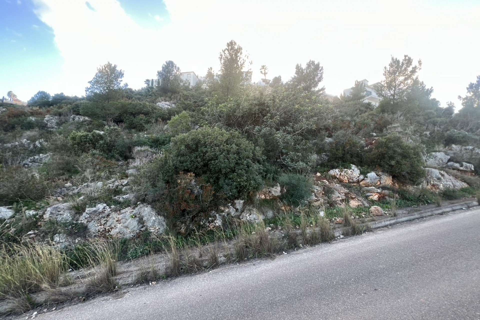 A Vendre - Terrain -
Denia - La Pedrera