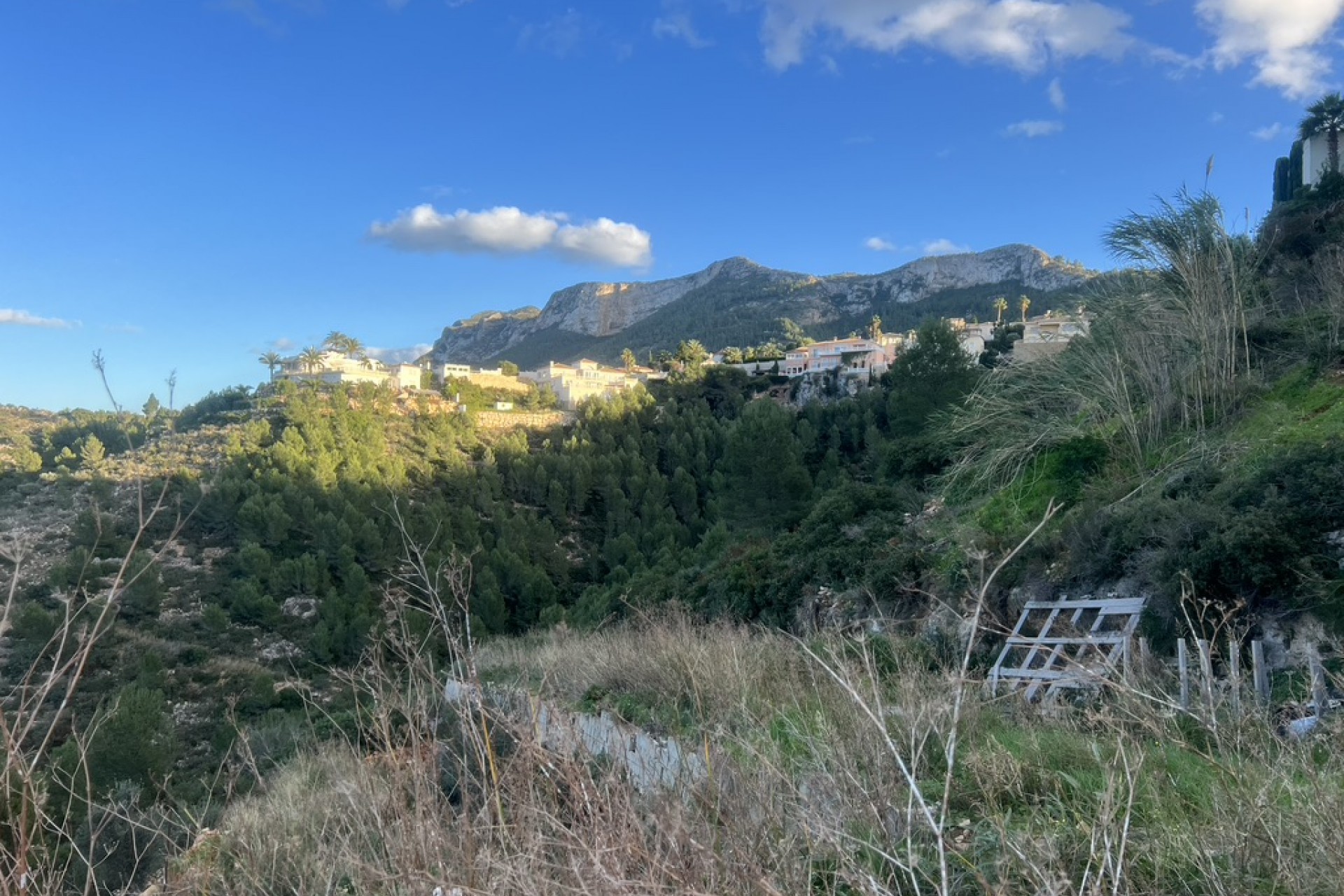 A Vendre - Terrain -
Denia - La Pedrera