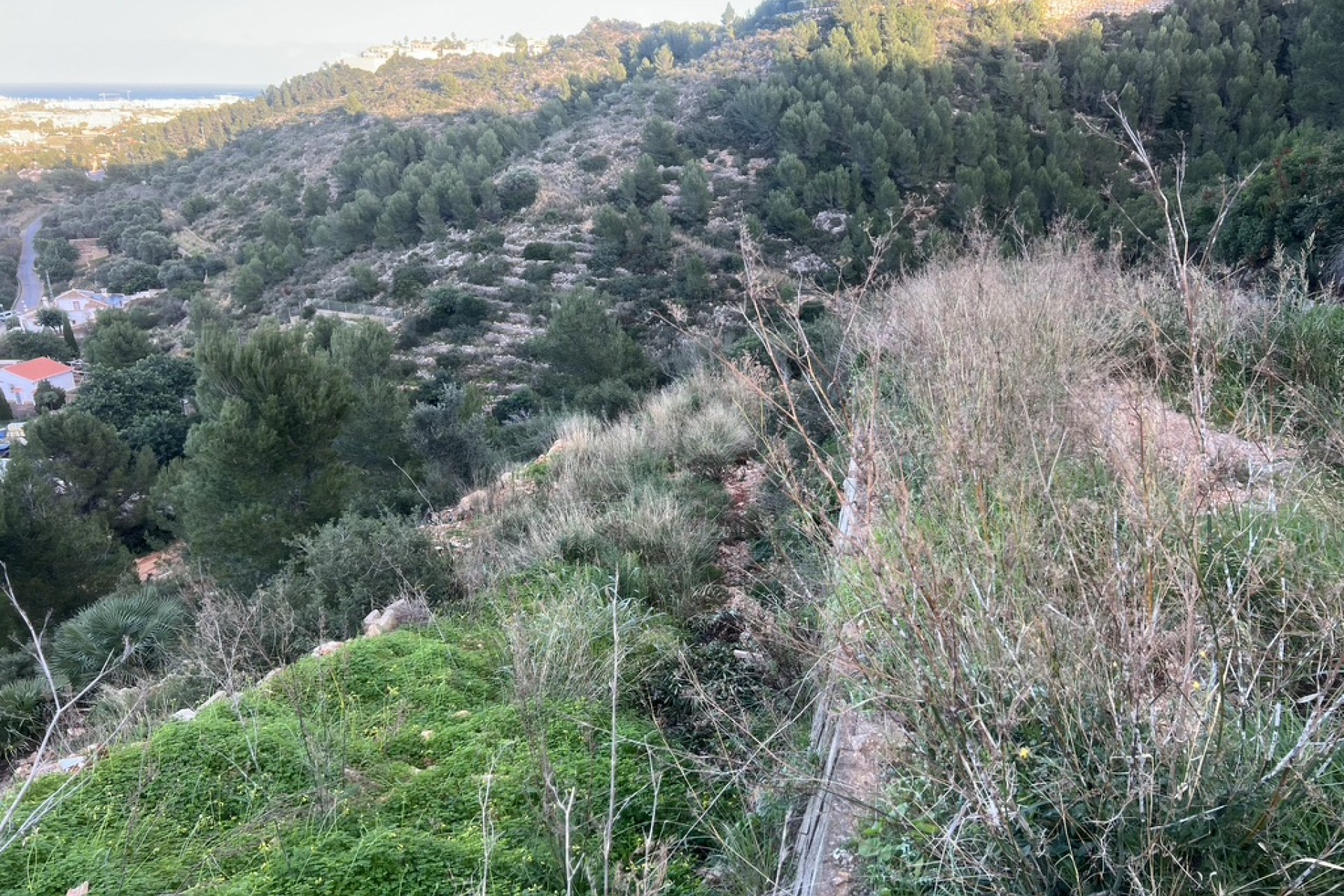 A Vendre - Terrain -
Denia - La Pedrera