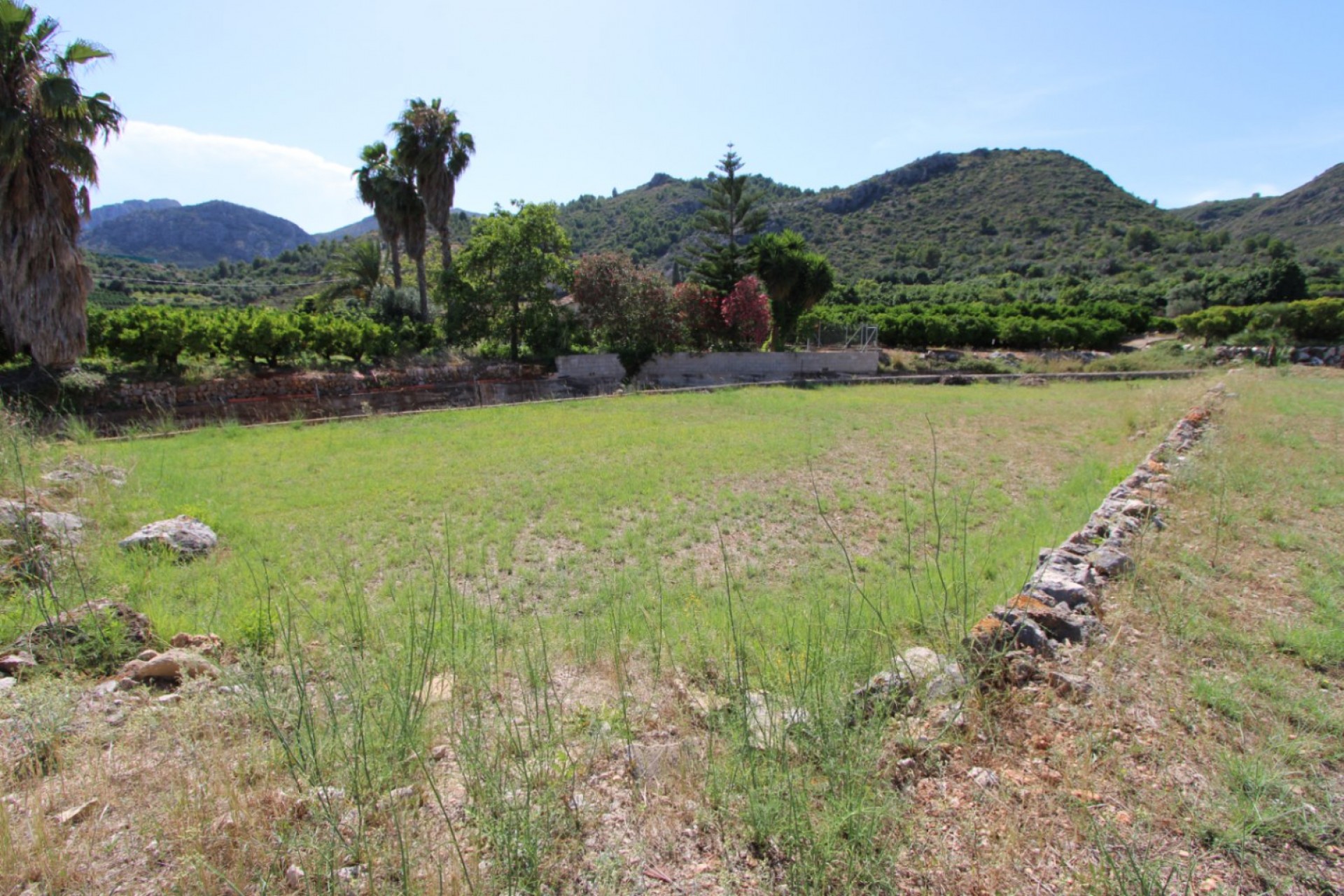 A Vendre - Terrain -
El Ràfol d' Almúnia