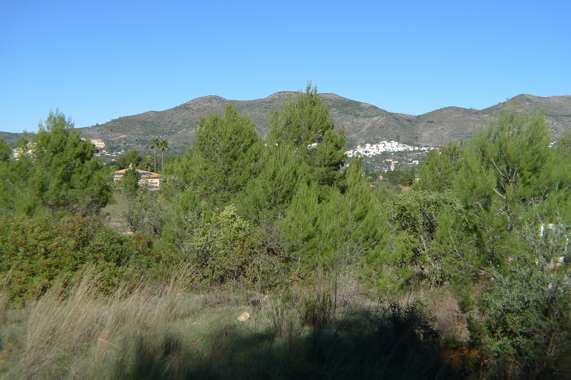 A Vendre - Terrain -
Jalon