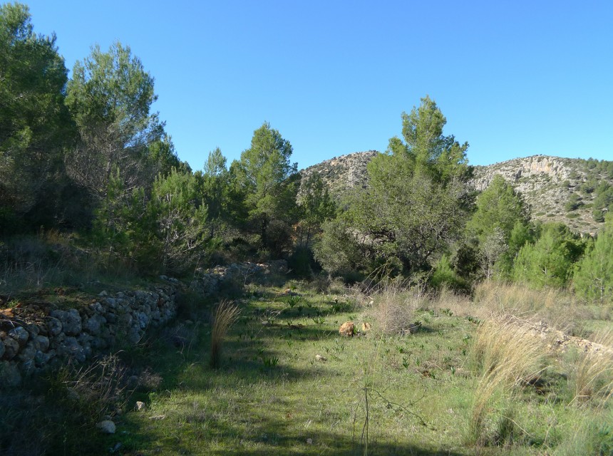 A Vendre - Terrain -
Jalon