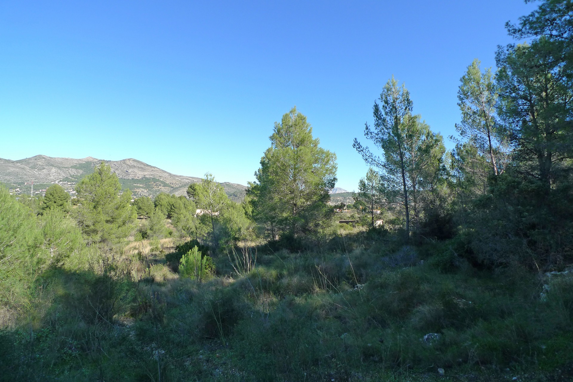 A Vendre - Terrain -
Jalon