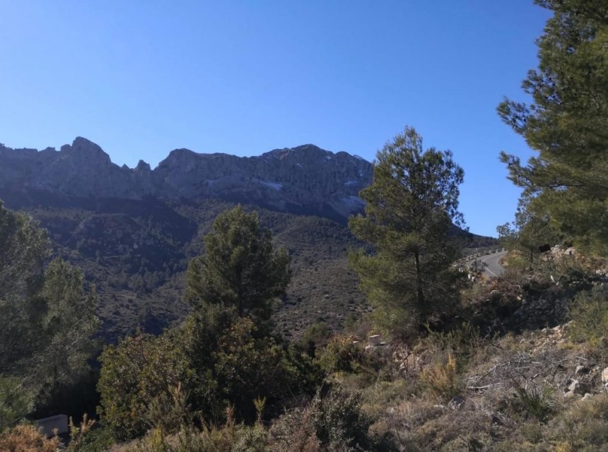 A Vendre - Terrain -
Jalon