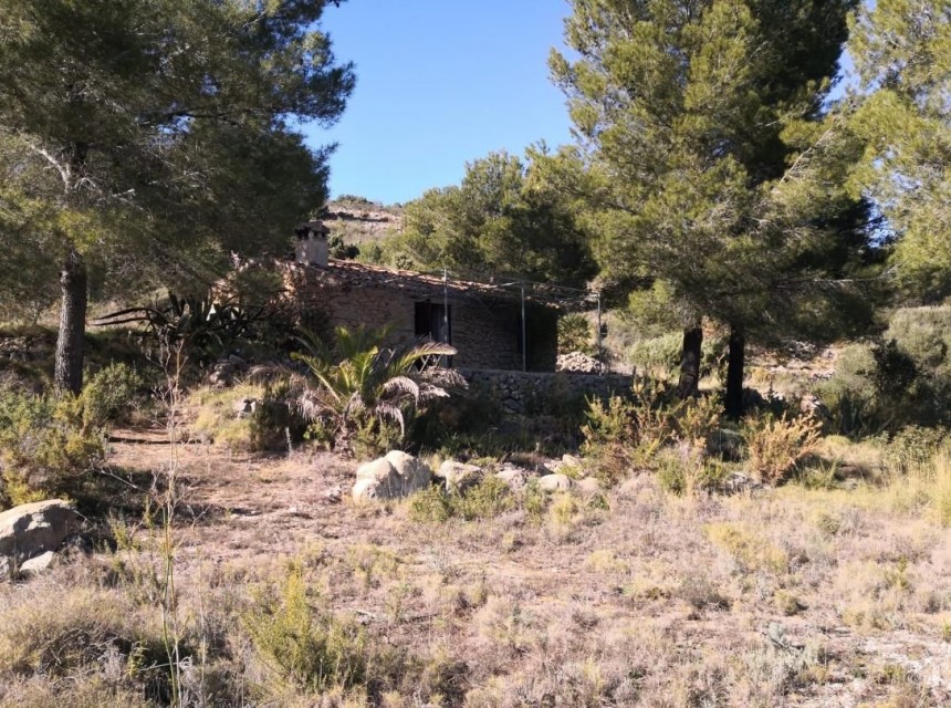 A Vendre - Terrain -
Jalon