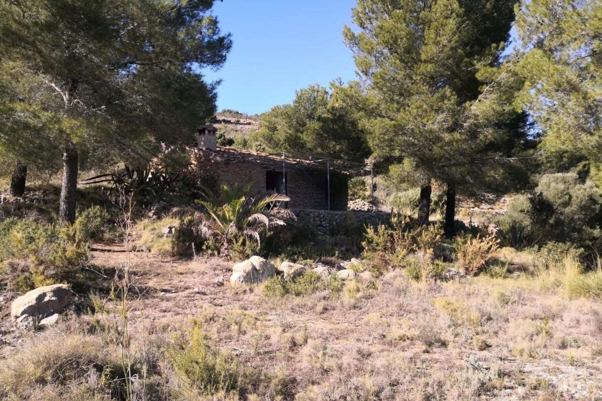 A Vendre - Terrain -
Jalon