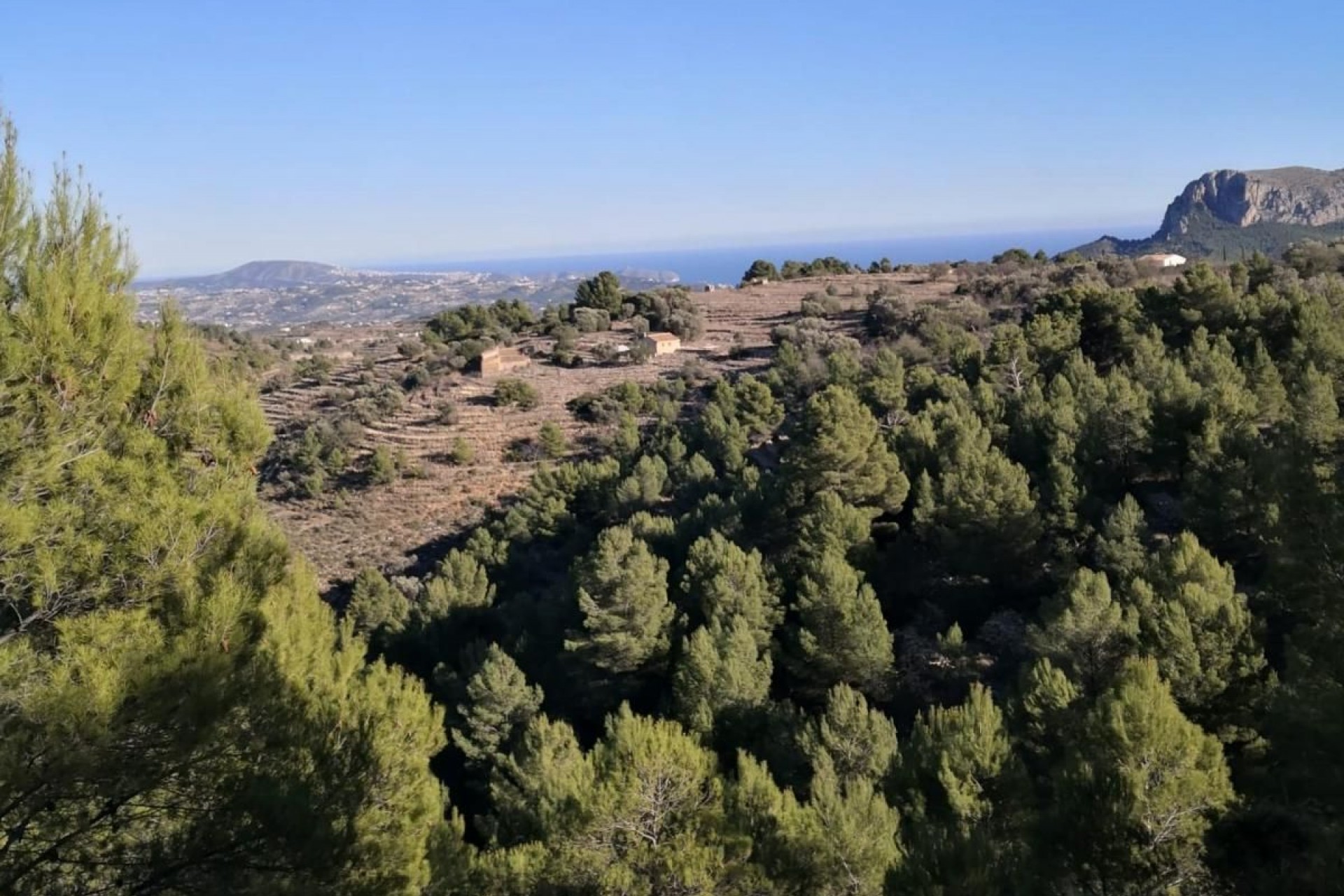 A Vendre - Terrain -
Jalon