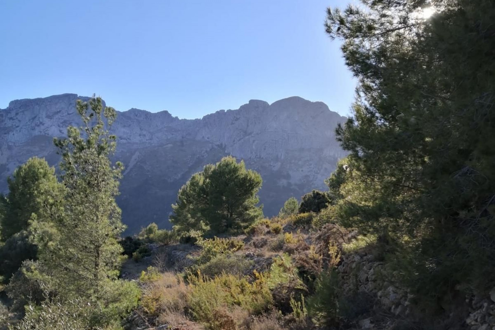 A Vendre - Terrain -
Jalon