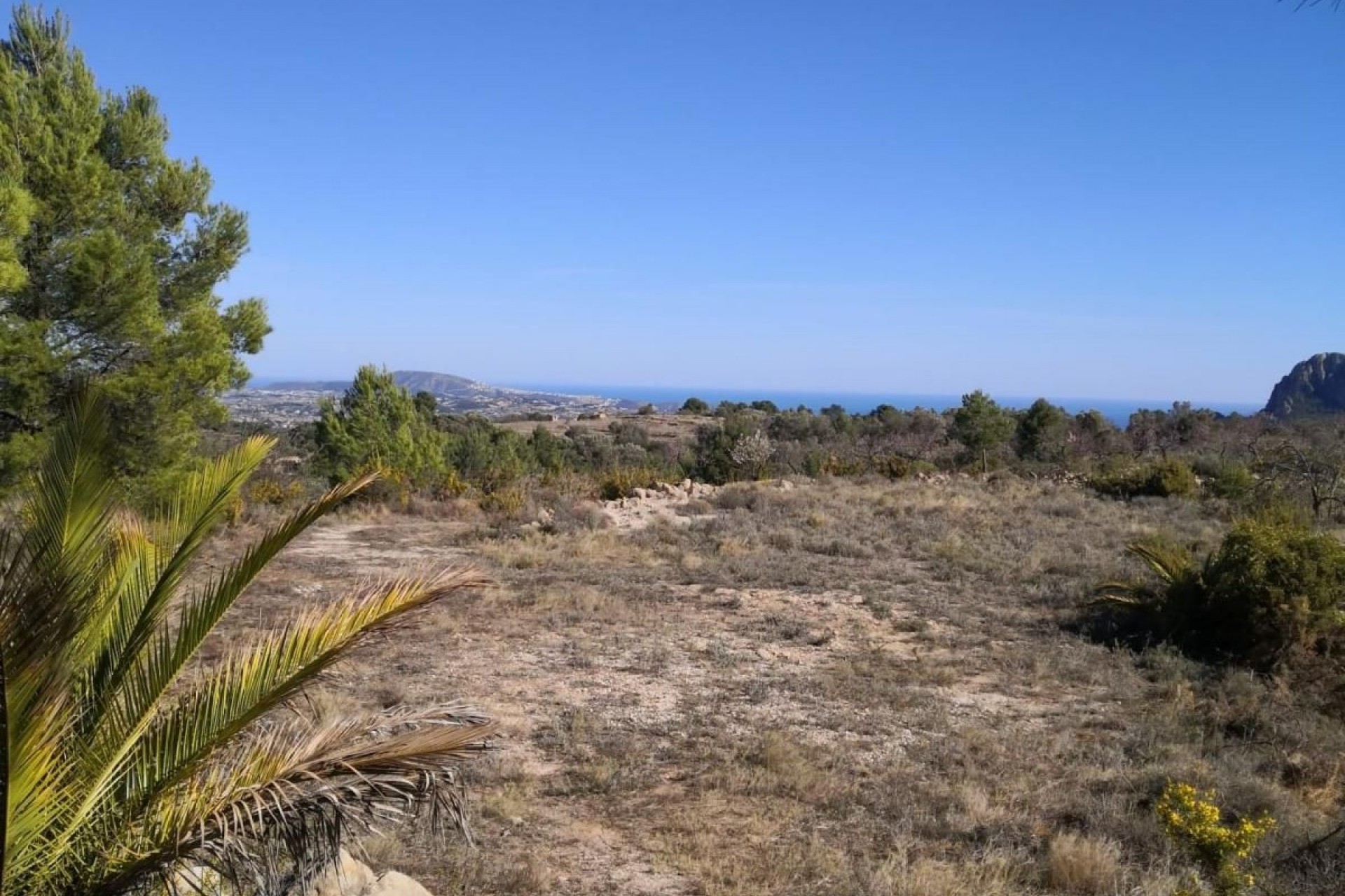 A Vendre - Terrain -
Jalon