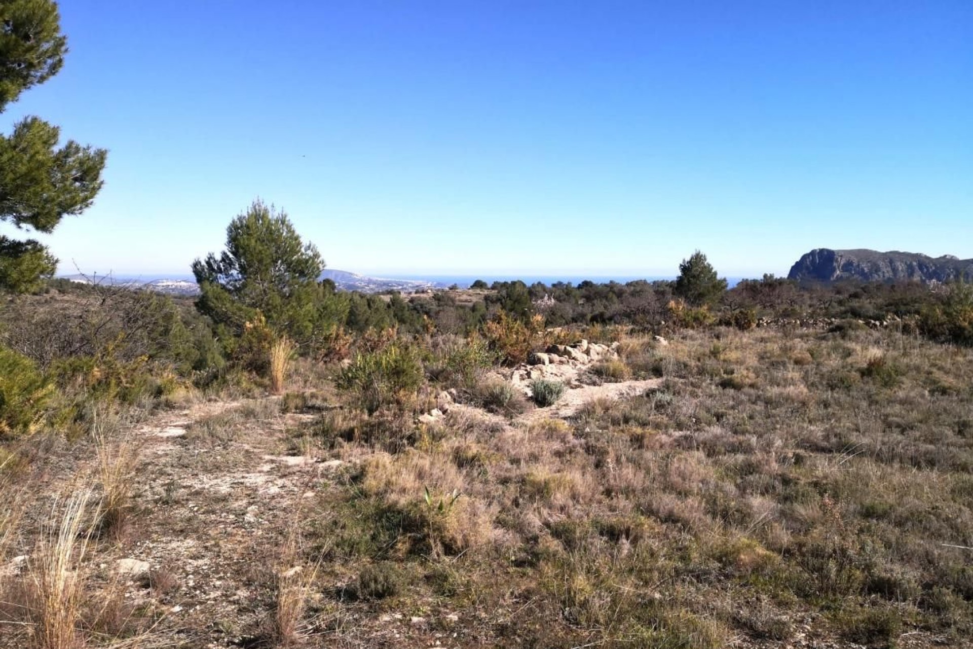 A Vendre - Terrain -
Jalon