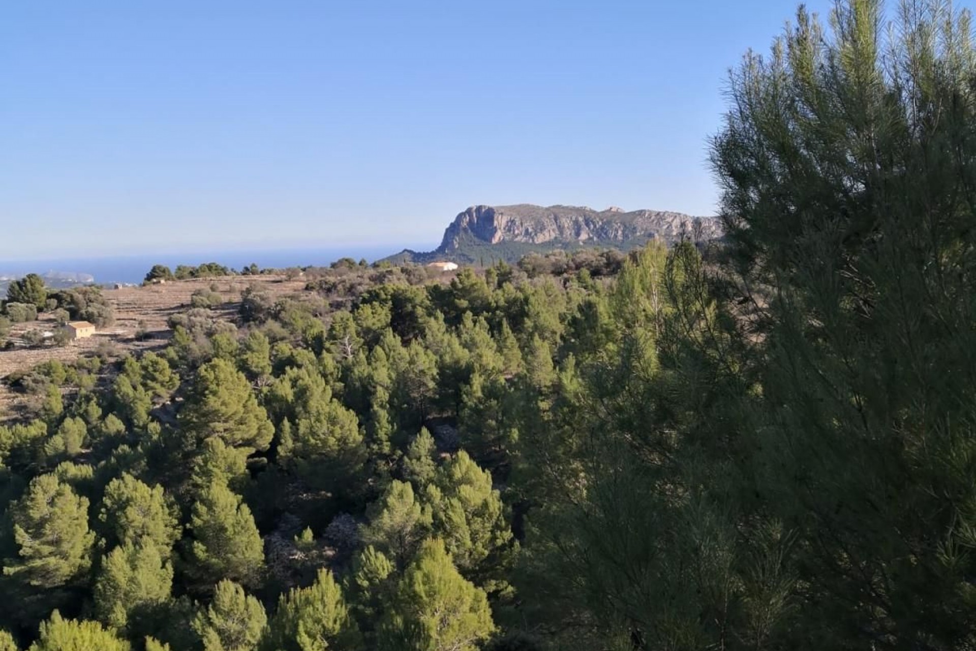 A Vendre - Terrain -
Jalon