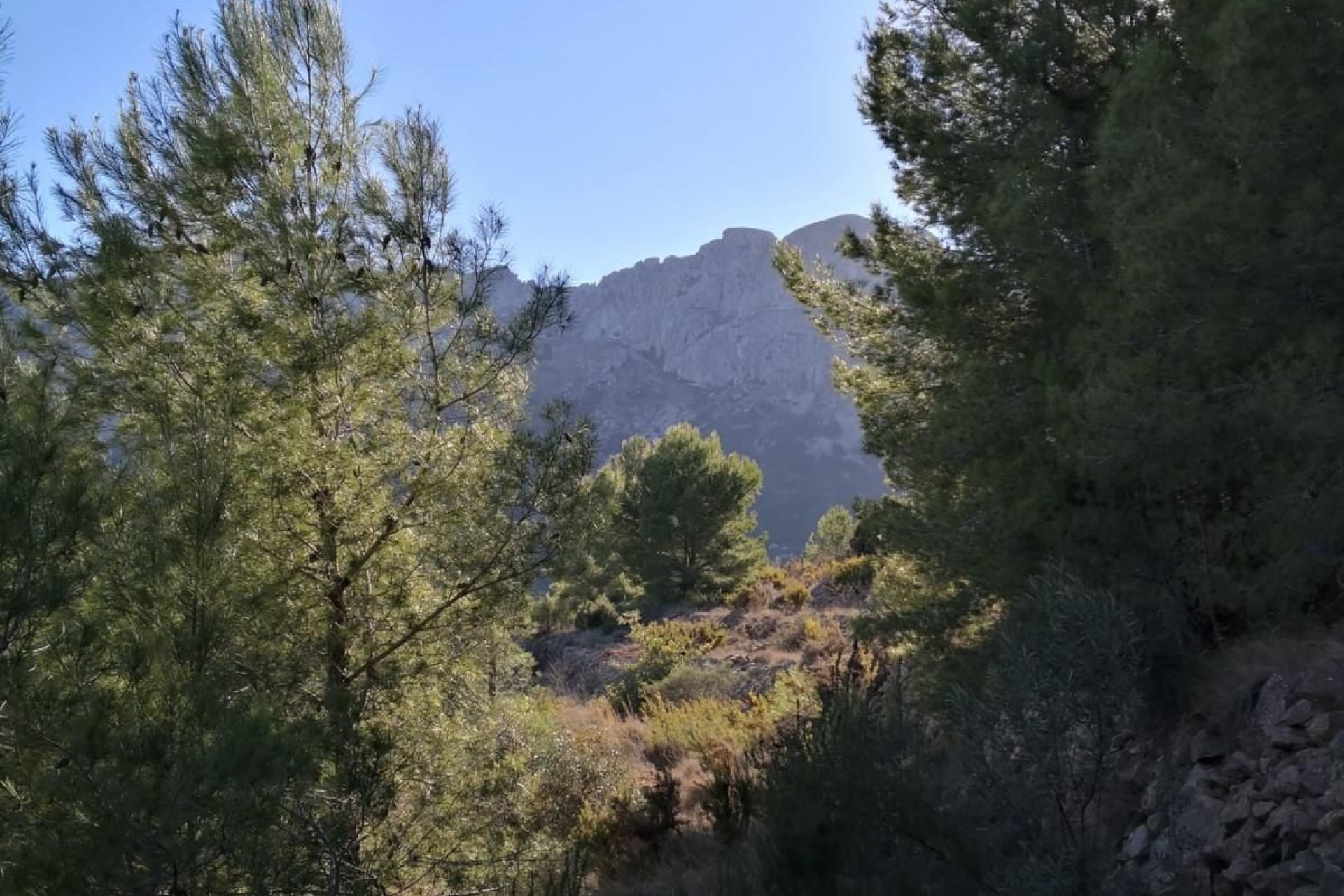 A Vendre - Terrain -
Jalon