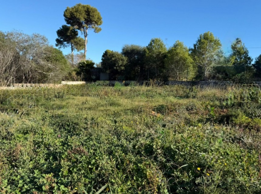 A Vendre - Terrain -
Javea - Pinosol