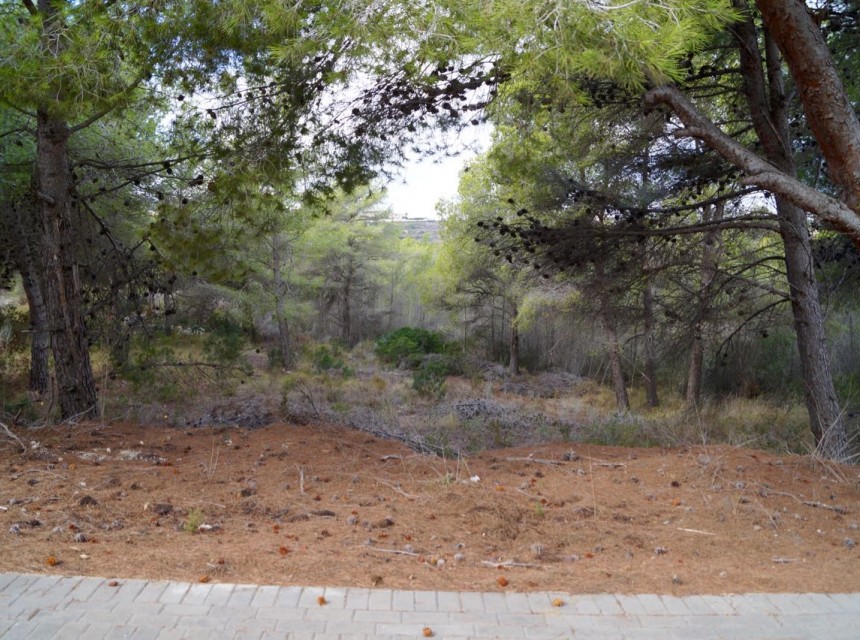 A Vendre - Terrain -
Moraira - Benimeit