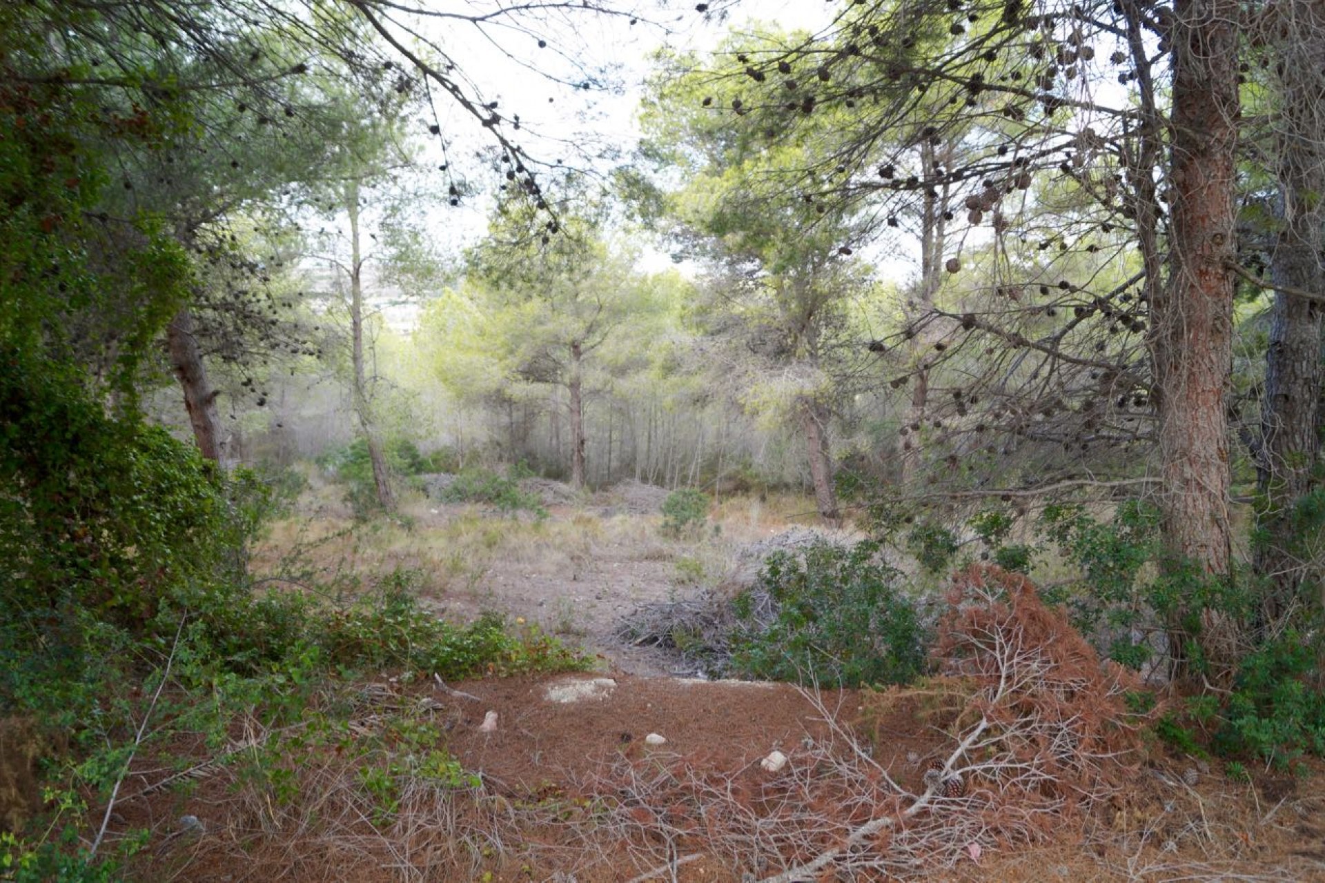 A Vendre - Terrain -
Moraira - Benimeit