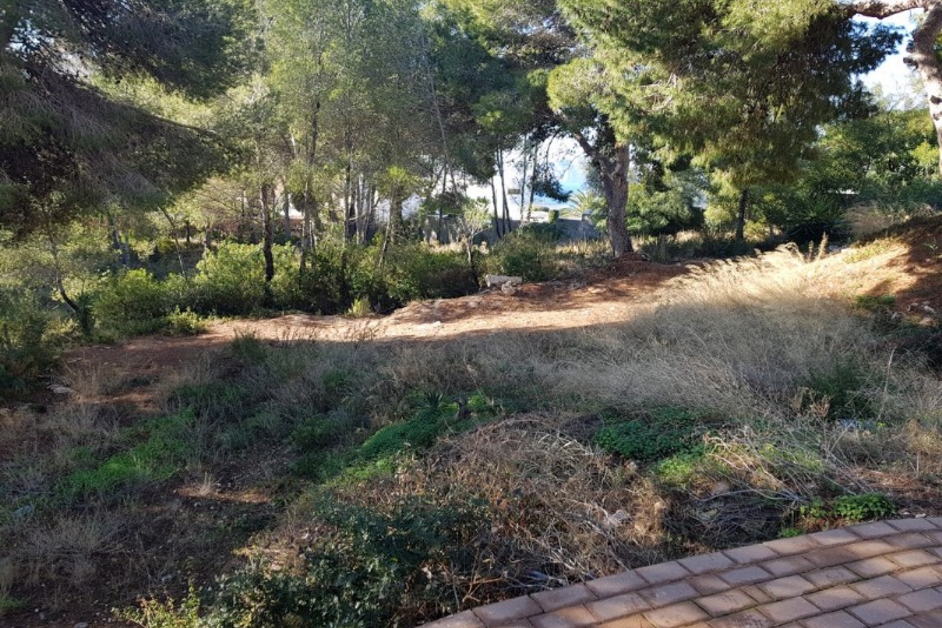 A Vendre - Terrain -
Moraira - El Portet