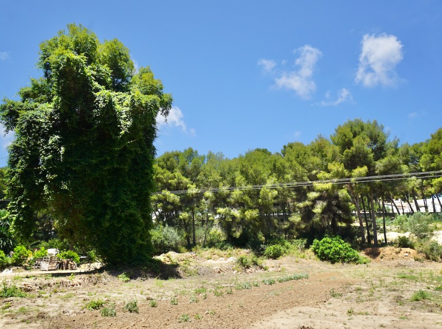 A Vendre - Terrain -
Moraira - La Cometa