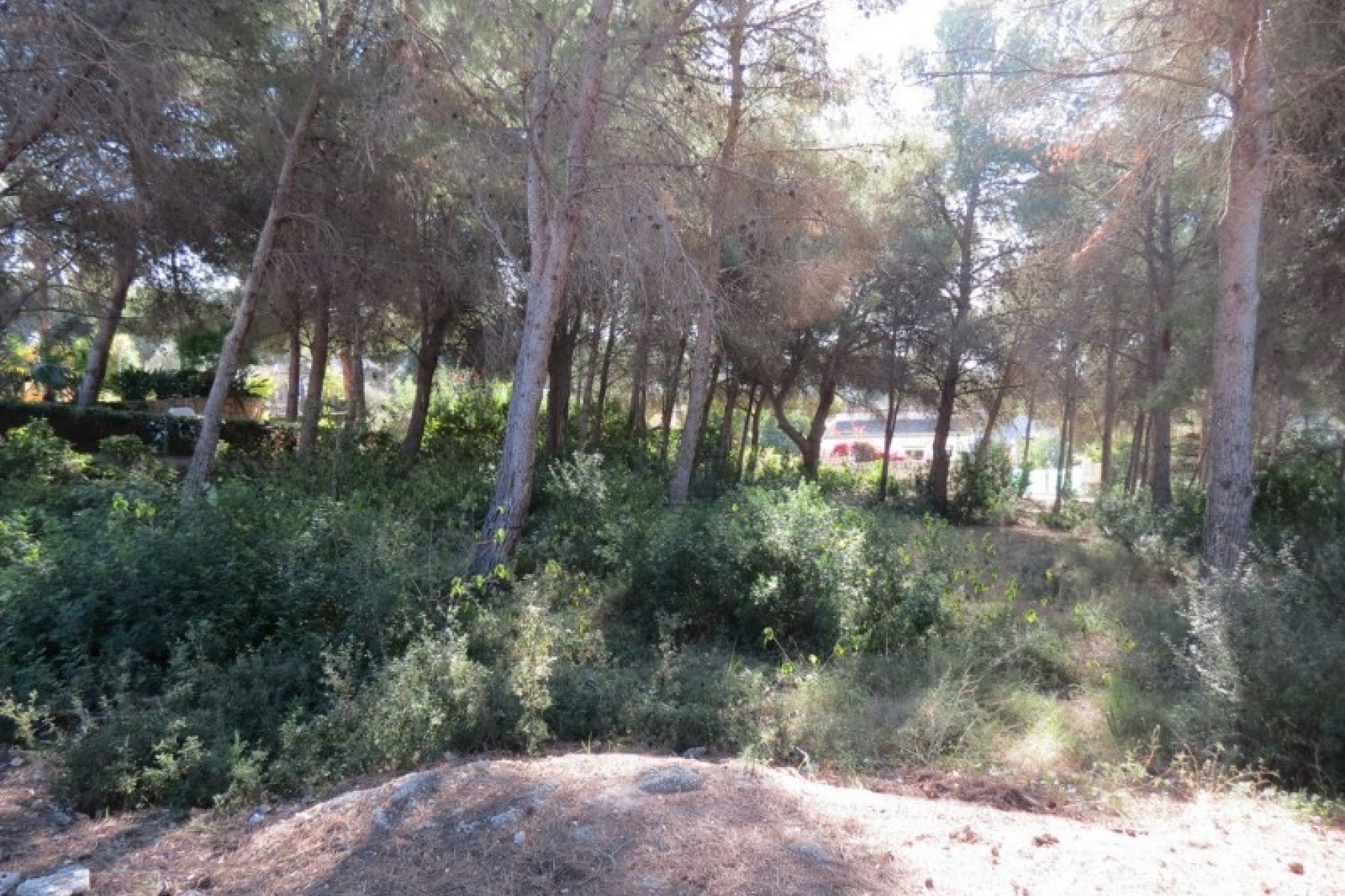 A Vendre - Terrain -
Moraira - Pla de Mar