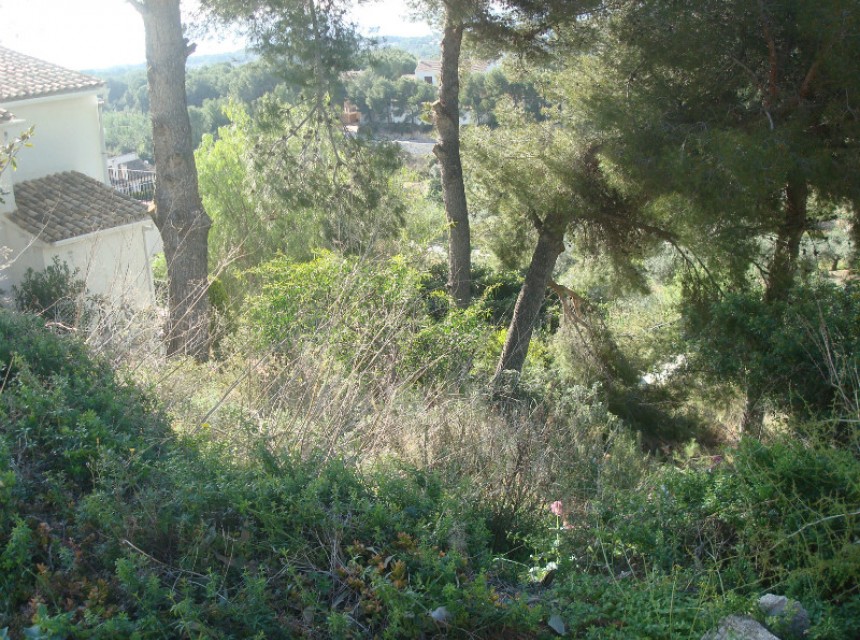 A Vendre - Terrain -
Moraira