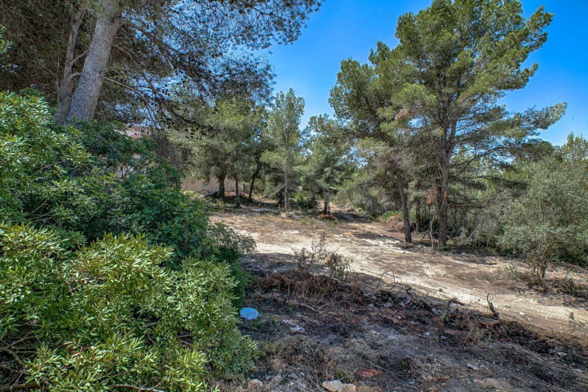 A Vendre - Terrain -
Moraira