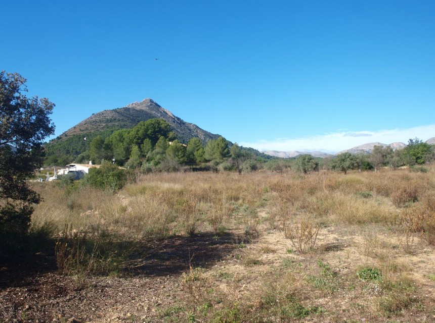 A Vendre - Terrain -
Murla