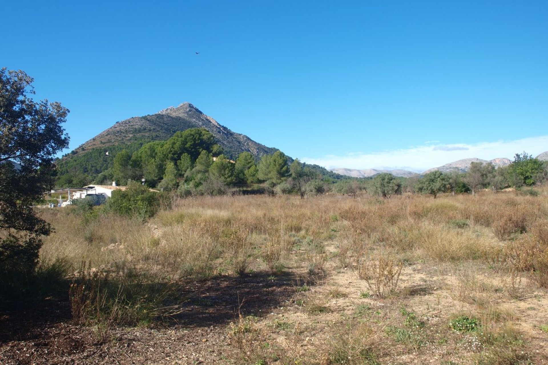 A Vendre - Terrain -
Murla