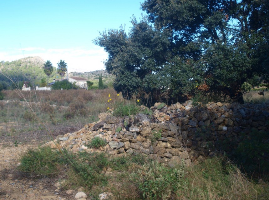 A Vendre - Terrain -
Murla