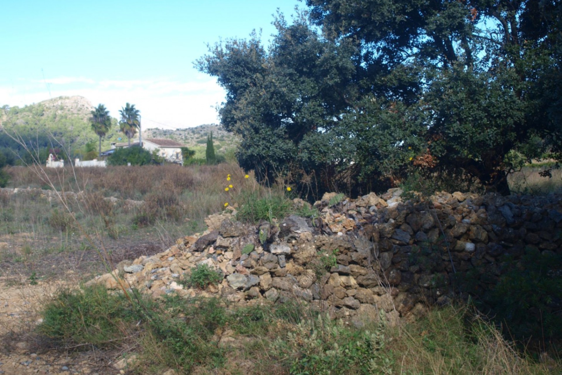 A Vendre - Terrain -
Murla