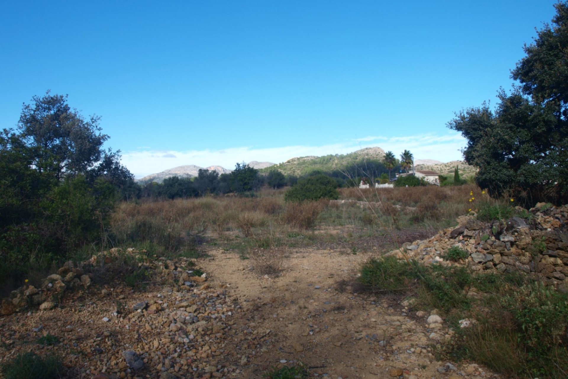 A Vendre - Terrain -
Murla