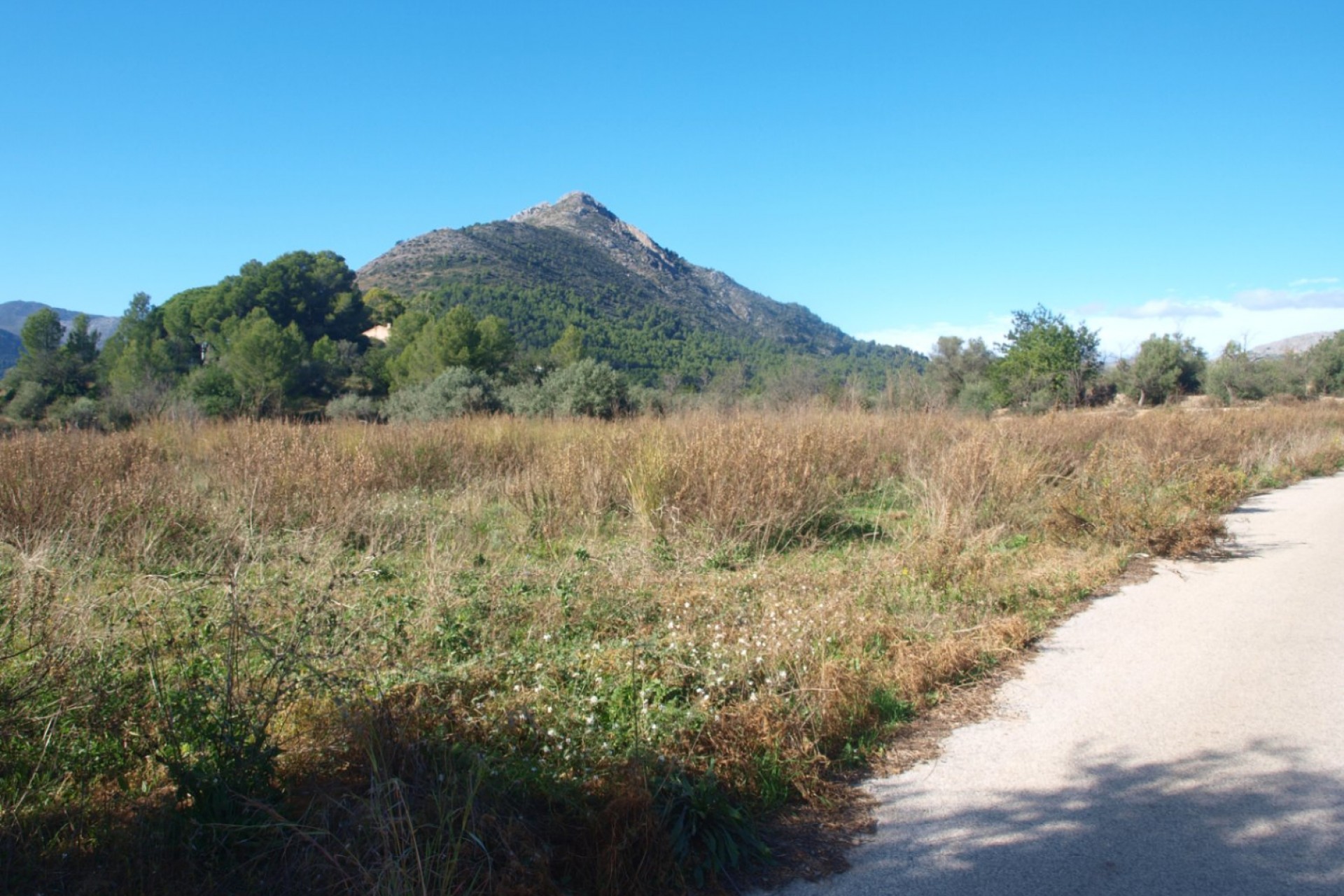 A Vendre - Terrain -
Murla