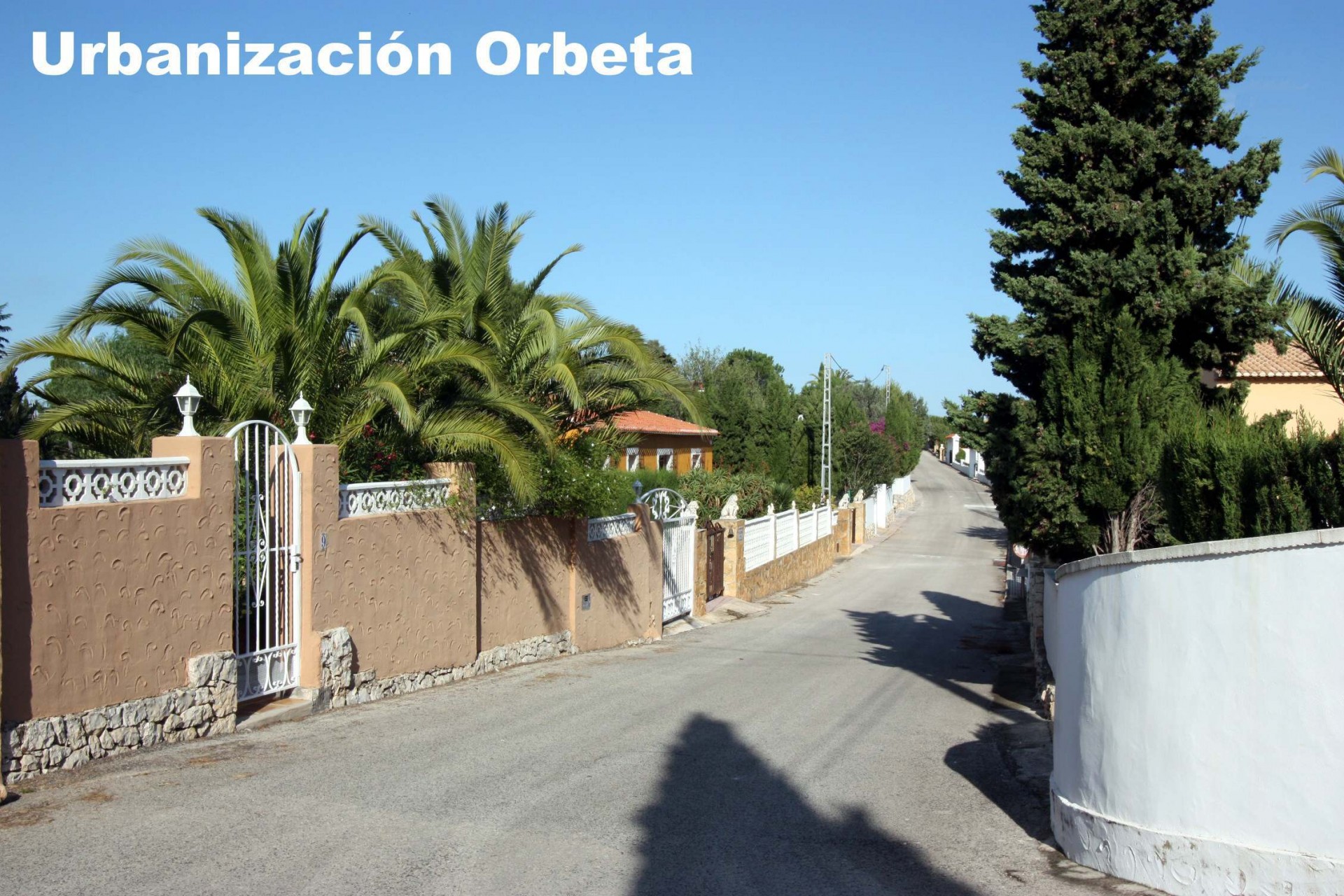A Vendre - Terrain -
Orba