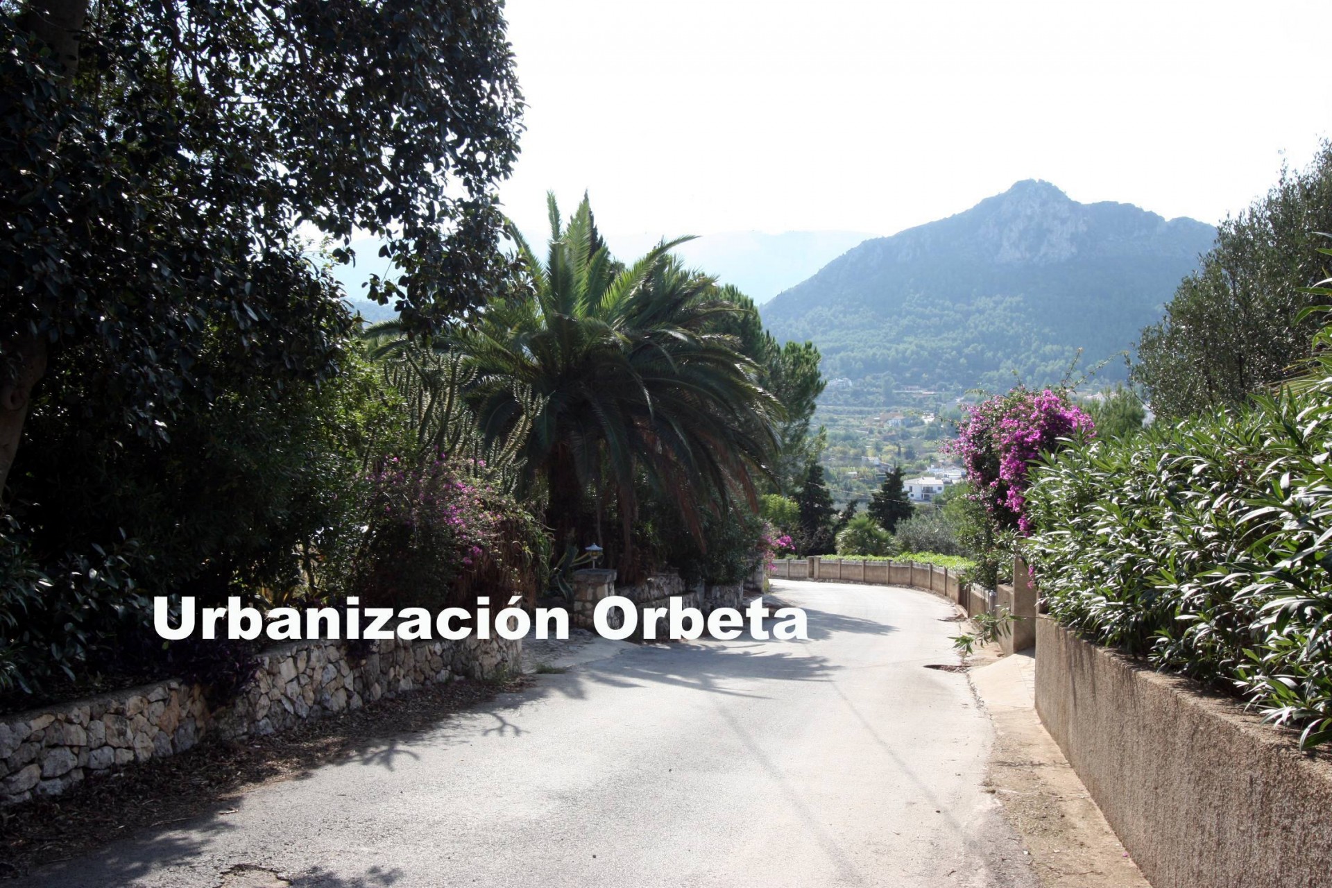 A Vendre - Terrain -
Orba