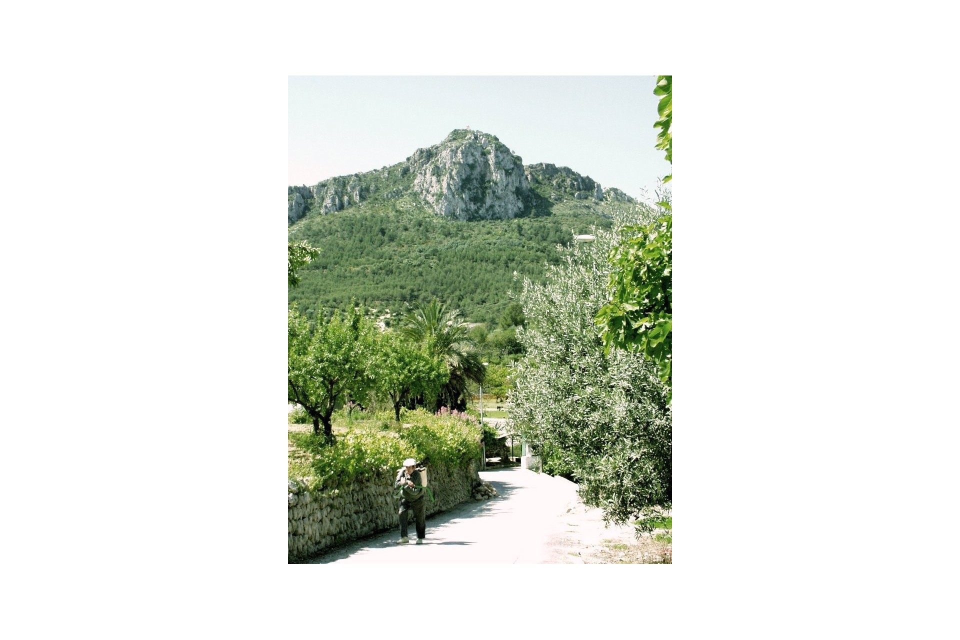 A Vendre - Terrain -
Orba