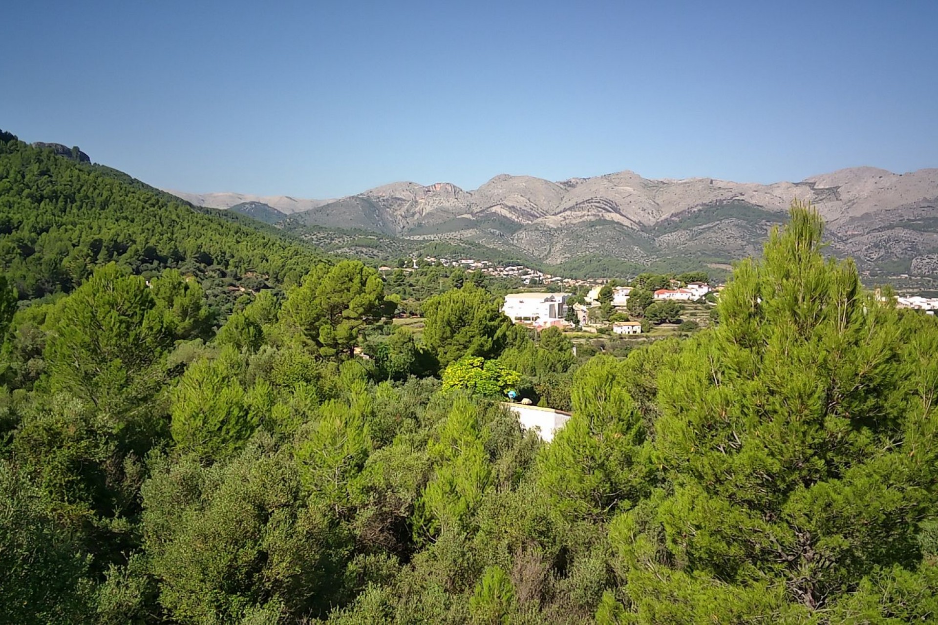 A Vendre - Terrain -
Orba