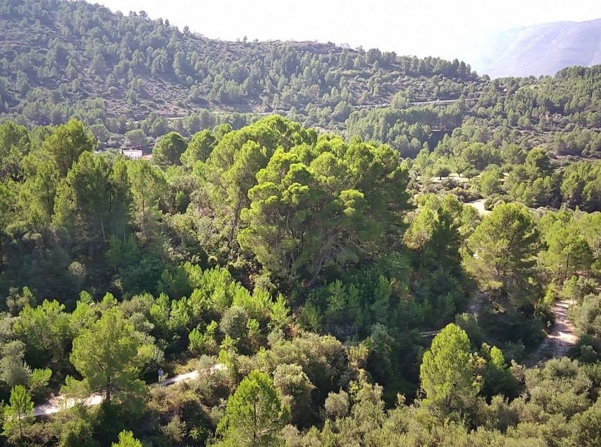 A Vendre - Terrain -
Orba
