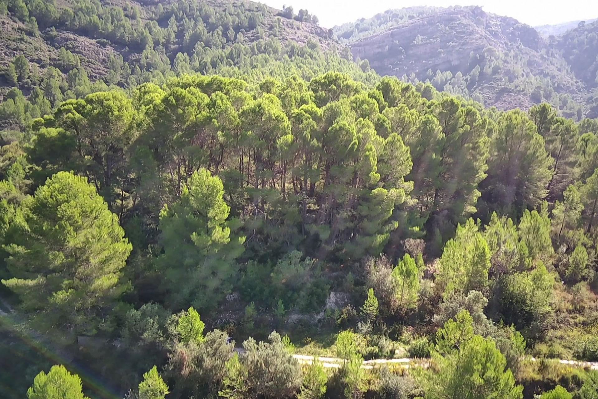 A Vendre - Terrain -
Orba