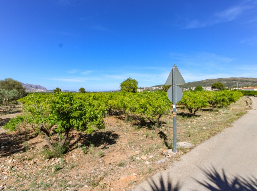 A Vendre - Terrain -
Orba