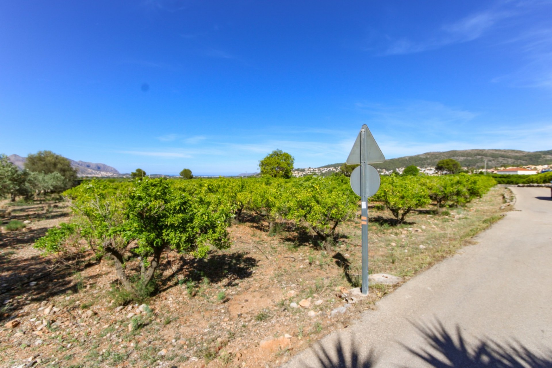 A Vendre - Terrain -
Orba