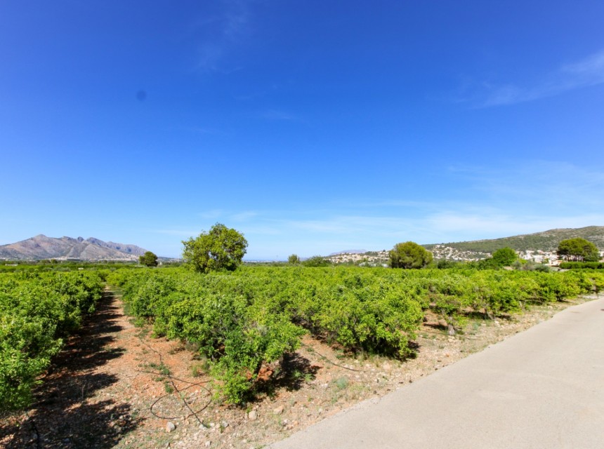 A Vendre - Terrain -
Orba