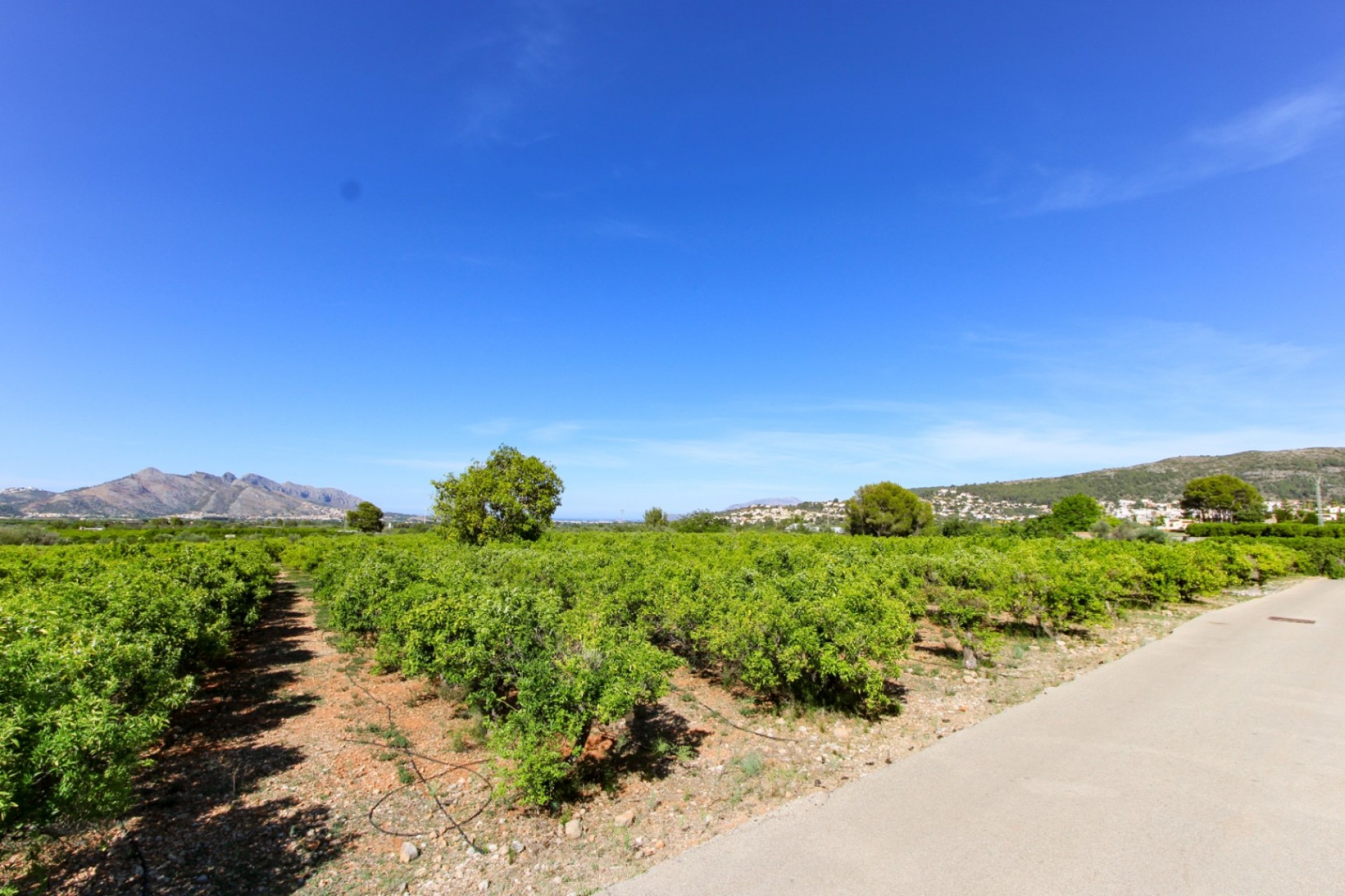 A Vendre - Terrain -
Orba