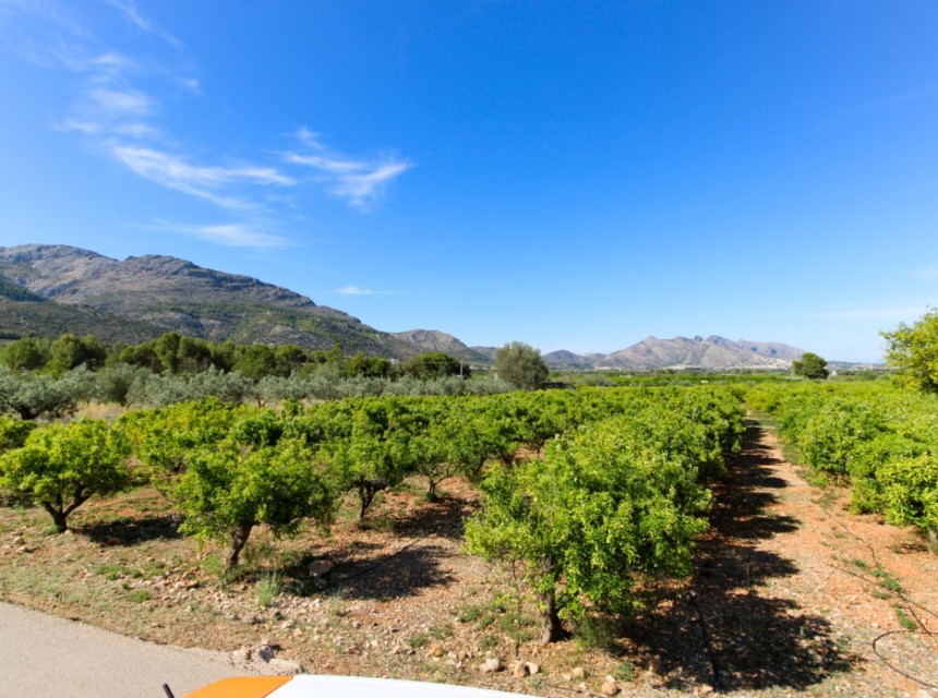 A Vendre - Terrain -
Orba