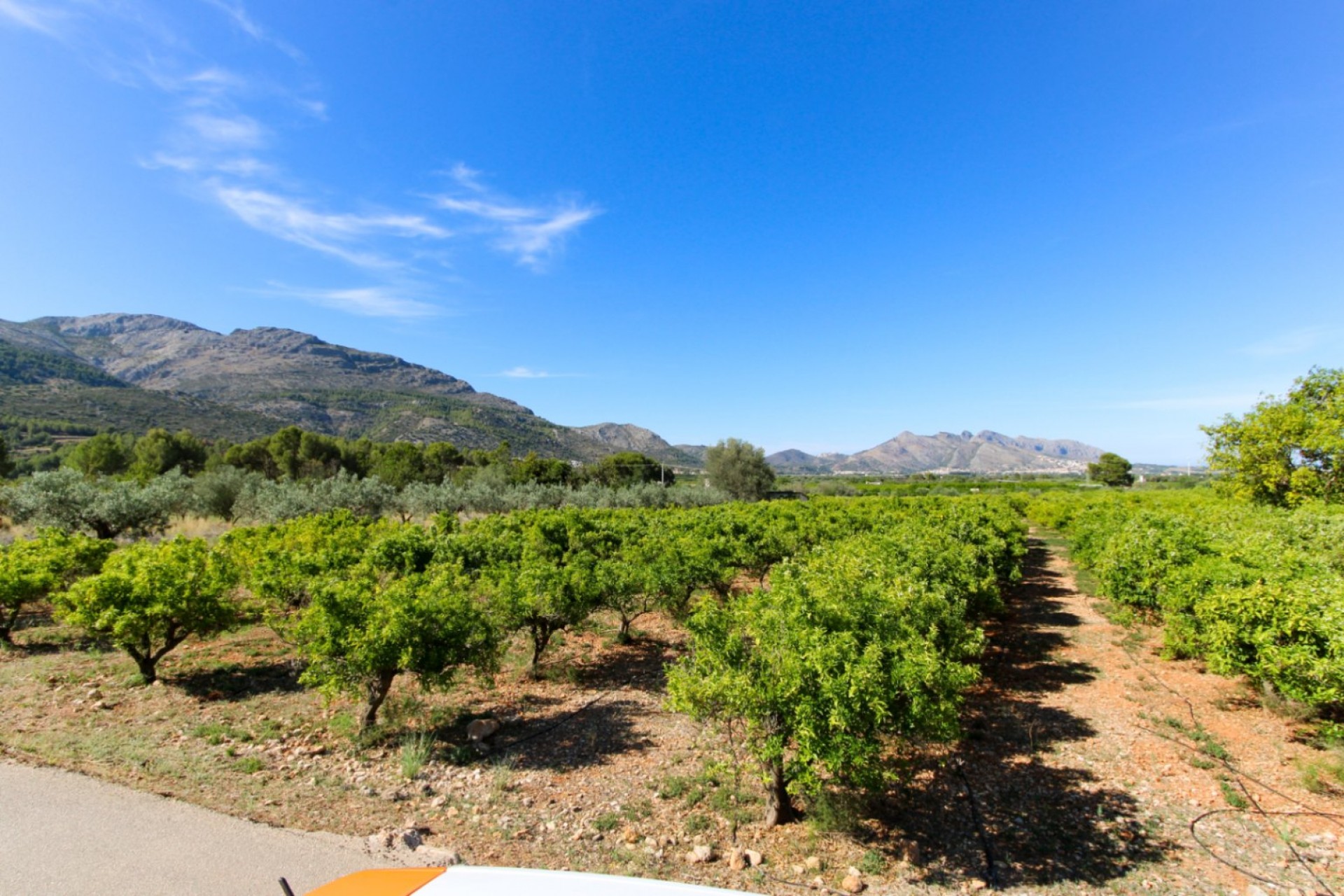 A Vendre - Terrain -
Orba