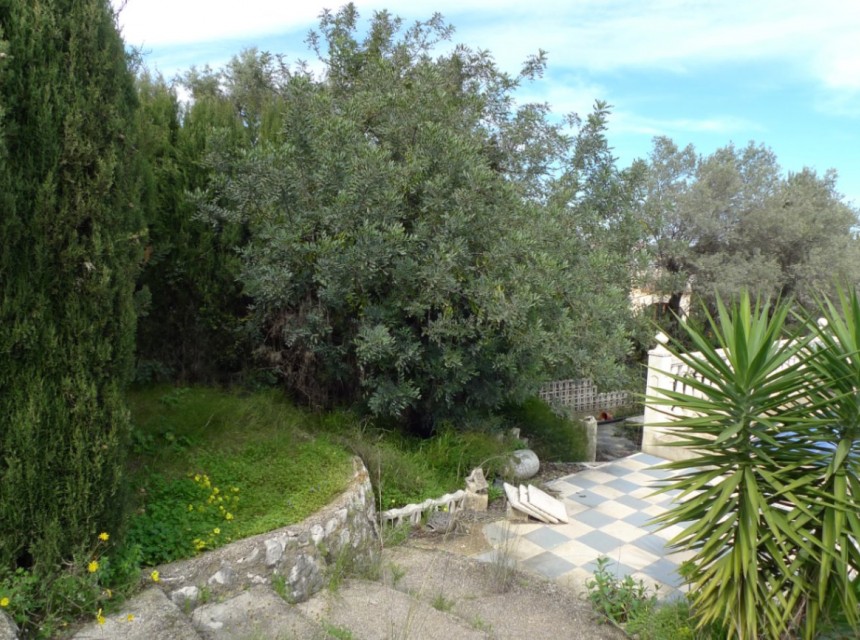 A Vendre - Terrain -
Orba