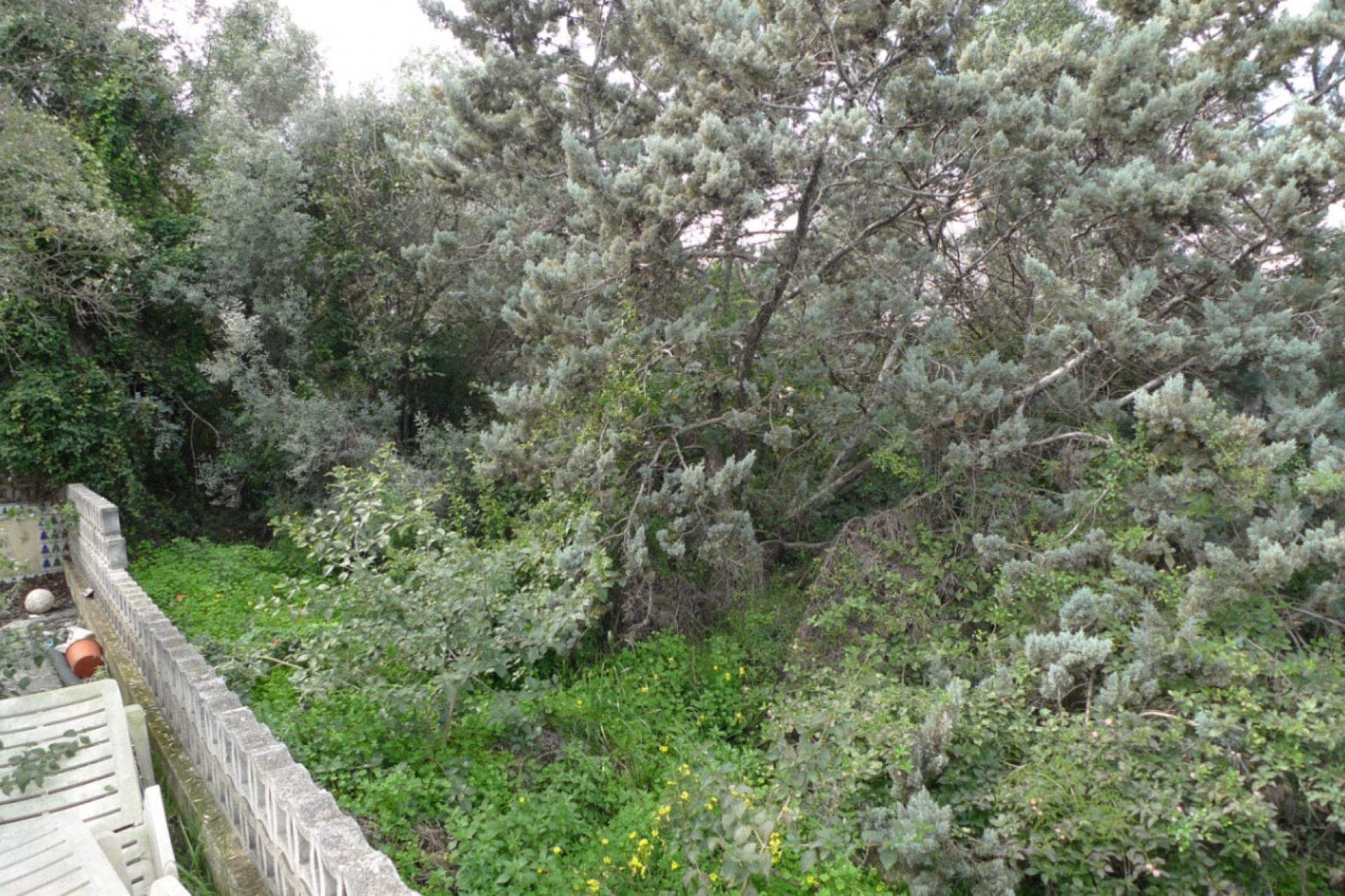A Vendre - Terrain -
Orba