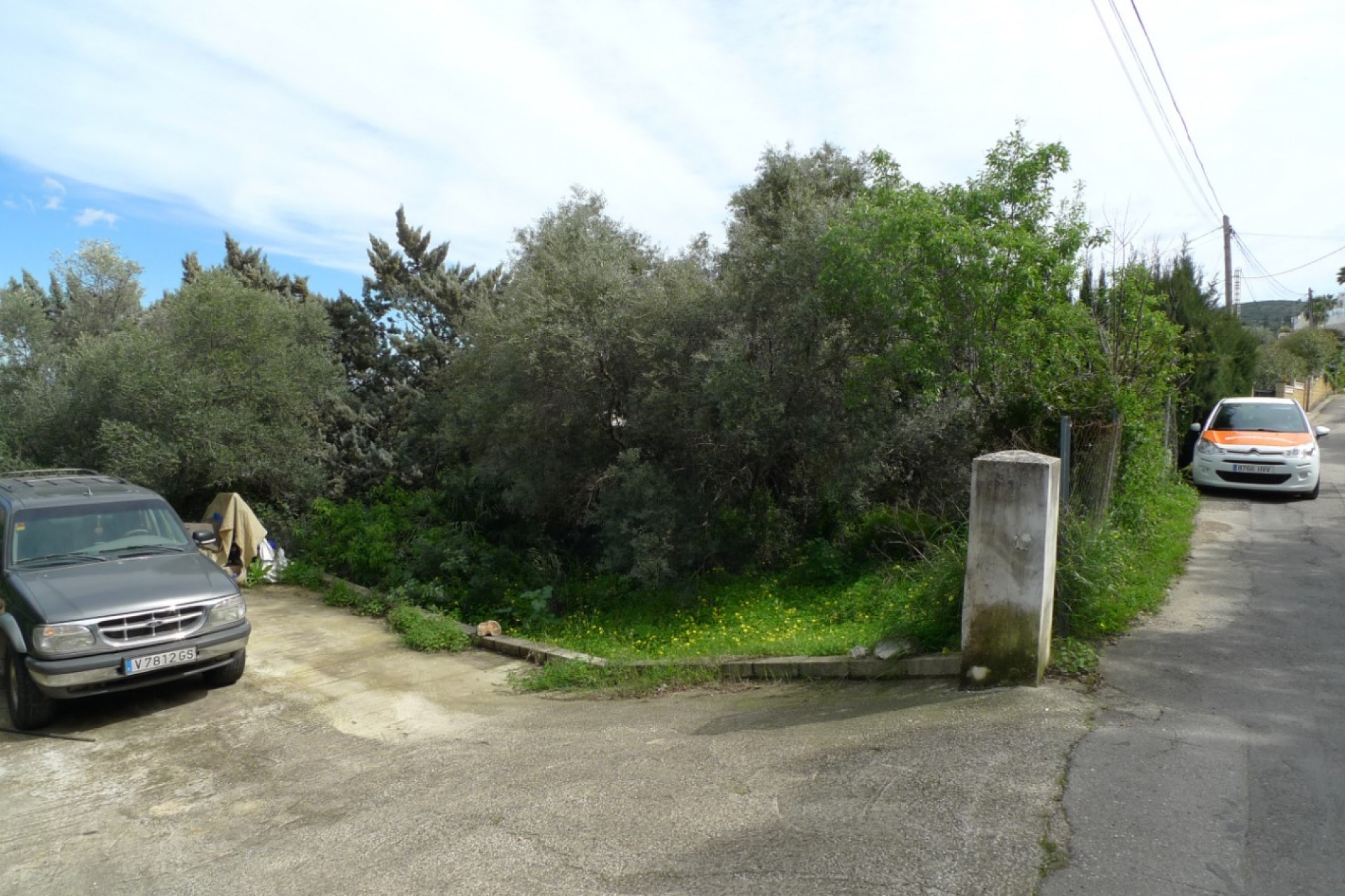 A Vendre - Terrain -
Orba