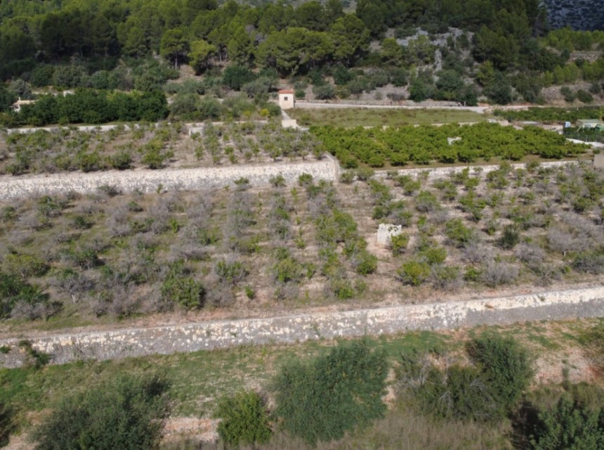 A Vendre - Terrain -
Orba
