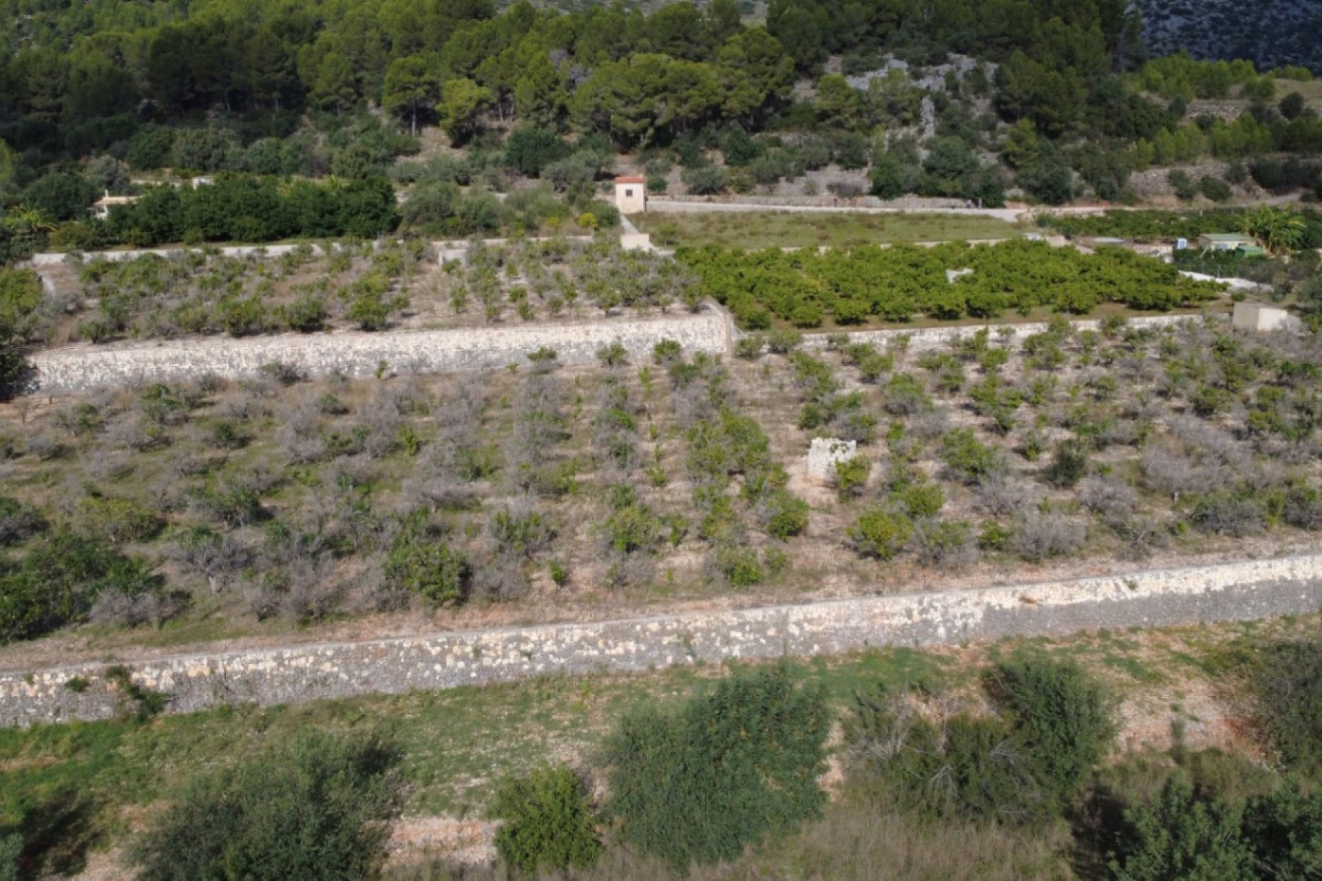A Vendre - Terrain -
Orba