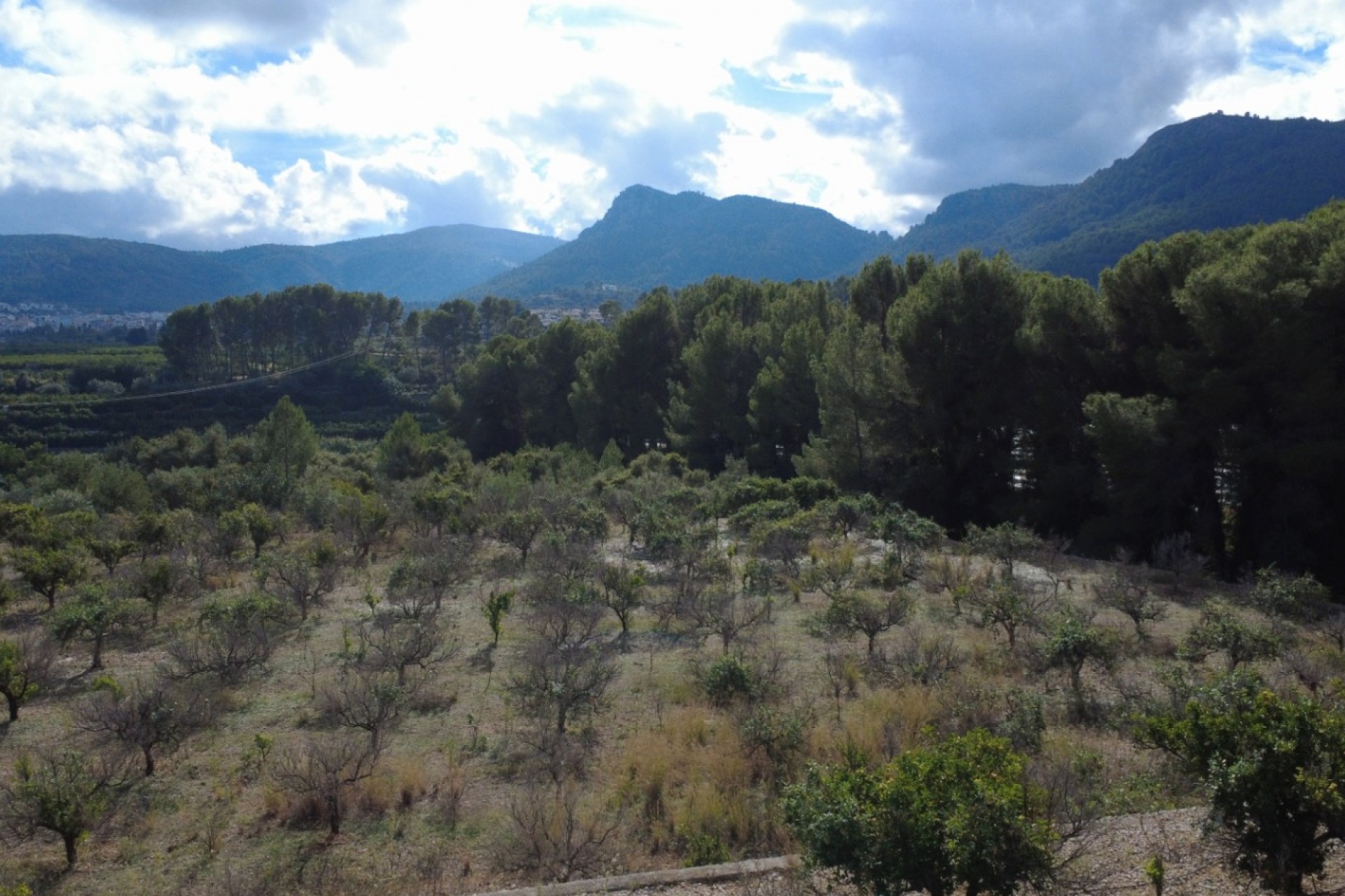 A Vendre - Terrain -
Orba