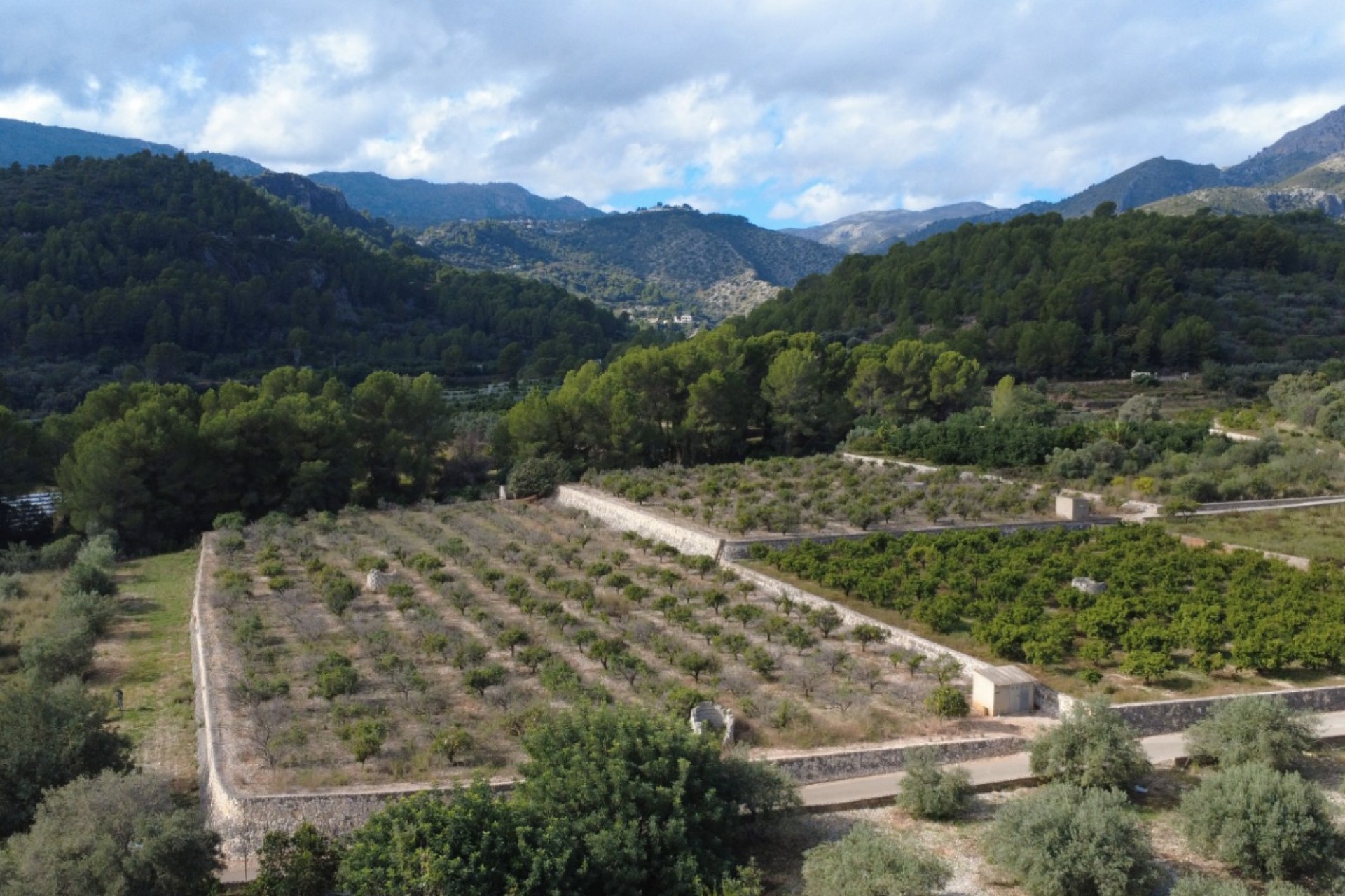 A Vendre - Terrain -
Orba