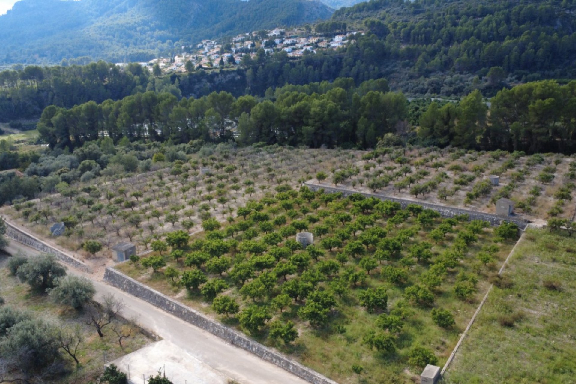A Vendre - Terrain -
Orba